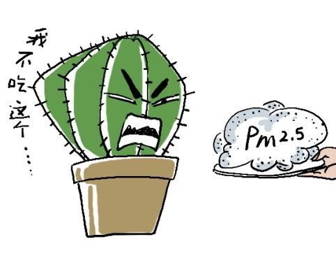 植物能吸收PM2.5吗？答案是......